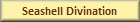 Seashell Divination